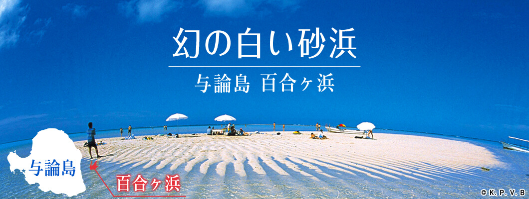 与論島百合ヶ浜ツアー