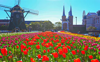 フラワーロード