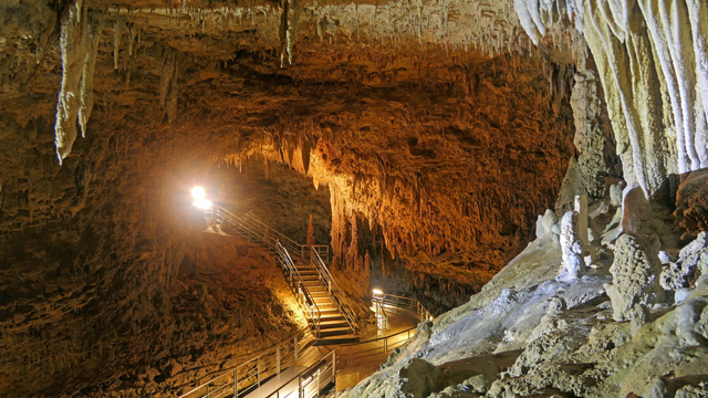 おきなわワールド