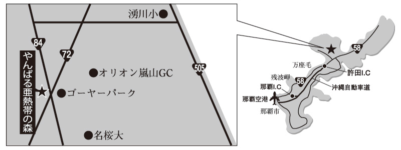 DINO恐竜PARK やんばる亜熱帯の森