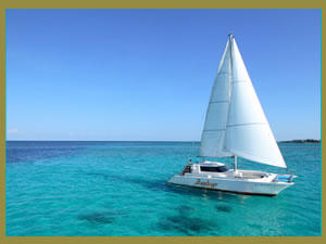 無料アクティビティ