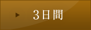 3日間