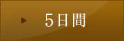 5日間