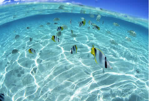 ホテルネイティブシー奄美