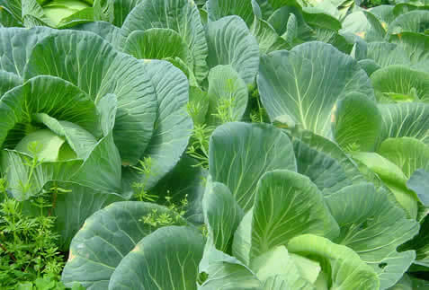 ホテルネイティブシー奄美