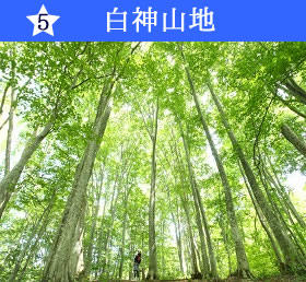 白神山地