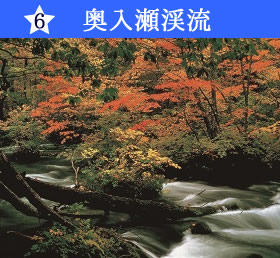 奥入瀬渓流